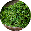 Собранные листья зеленого чая